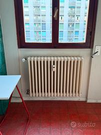 6 termosifoni in ghisa