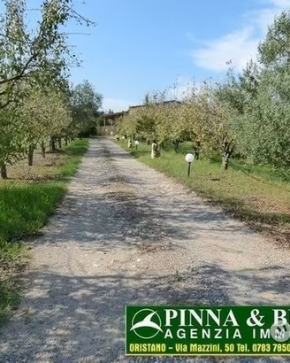 Baratili - capannone