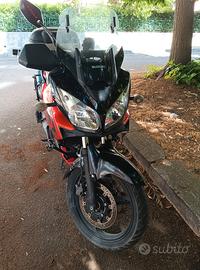  motol