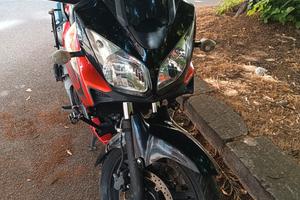  motol