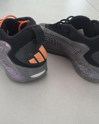Adidas Antony Edwards 43
