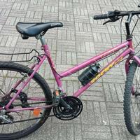 MOUNTAIN BIKE