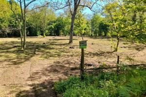 Terreno castagne noci nocciole