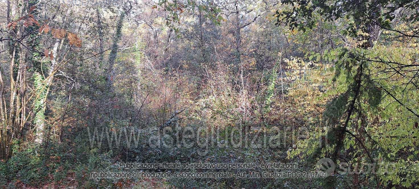 Terreno Agricolo Rapolano Terme [A4356525] - Vista 4