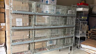 Gabbie da cova da 55