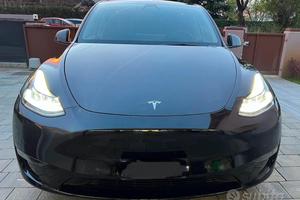 MODEL Y Long Range Dual Motor