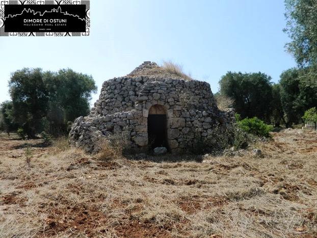 LA LAMIA del PAGLIAIO - AGRO DI CAROVIGNO