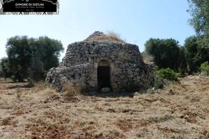 LA LAMIA del PAGLIAIO - AGRO DI CAROVIGNO