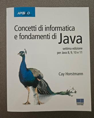 Concetti di informatica e fondamenti di java