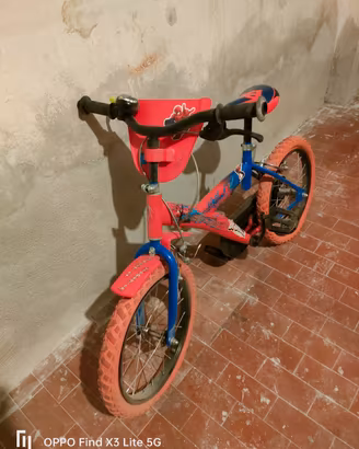 bicicletta grande e piccola