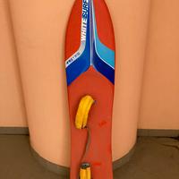 Snowboard vintage rarissimi