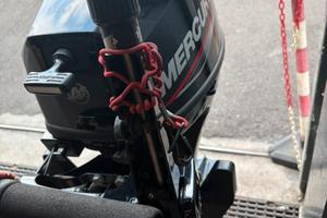 Fuori bordo mercury 9.9
