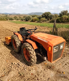 Trattore con fresa - Valpadana 4R 260