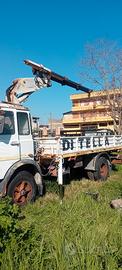 Camion con Gru'