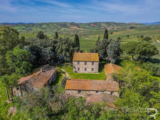 Scansano - Proprietà da ristrutturare con molto po