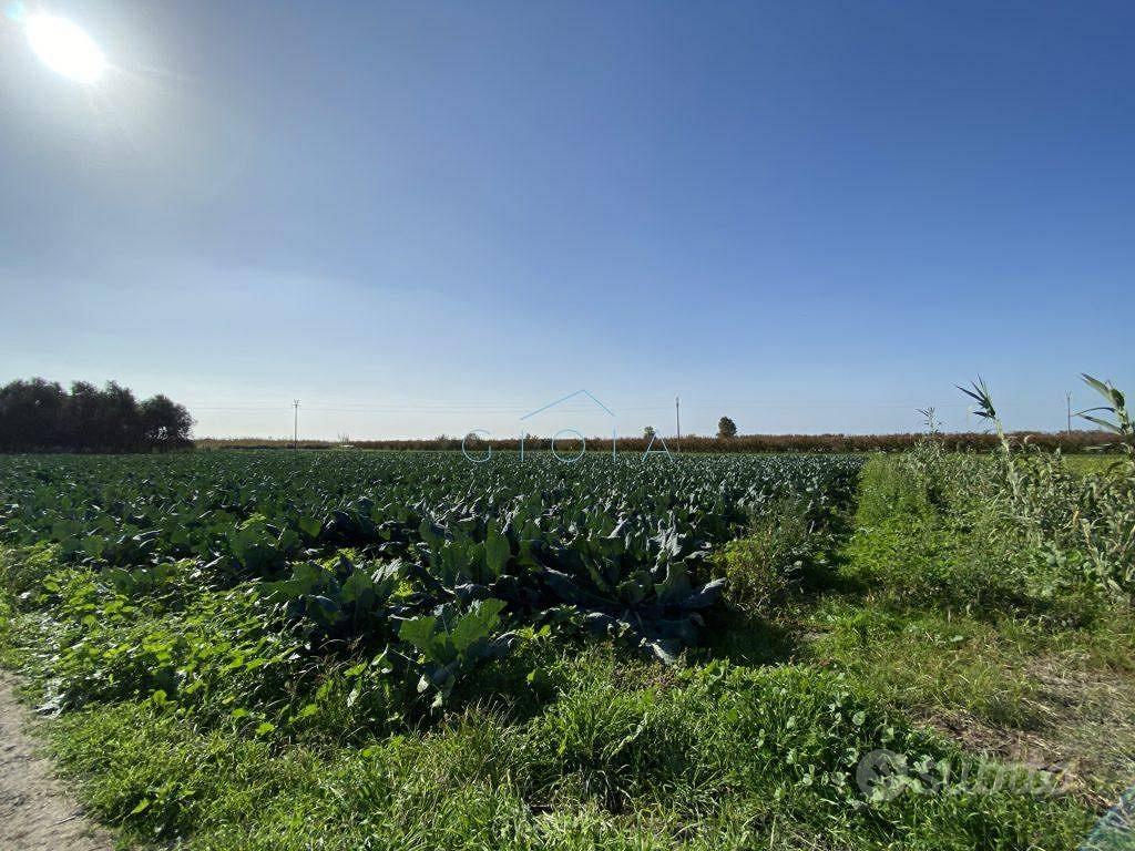 Terreno di 4500 m² a Mondragone - Vista 2