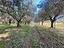 Immagine 11