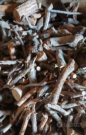 Legna di ulivo per forni e stufe Ragusa