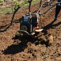 Motozappa Lombardini