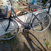 Bicicletta Garda