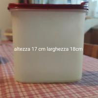 Tupperware porta pasta 