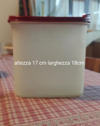 Tupperware porta pasta 