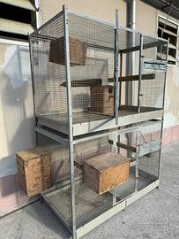 Voliera