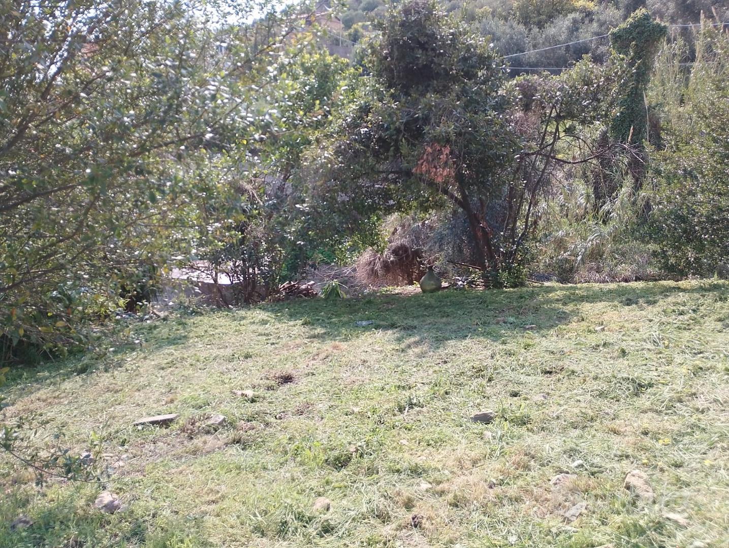 Terreno a Sanremo - Vista 5