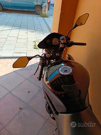 Triumph Seed Baby 600
