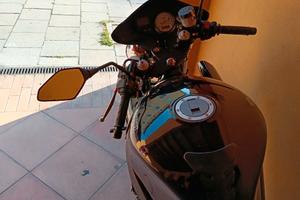 Triumph Seed Baby 600