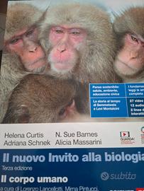 liceo scientifico