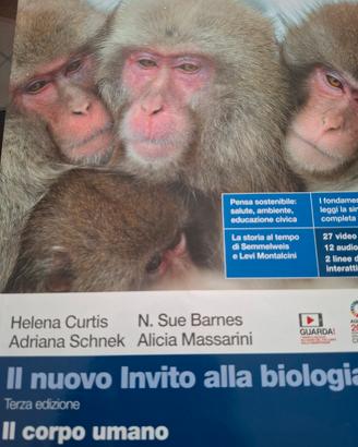 liceo scientifico