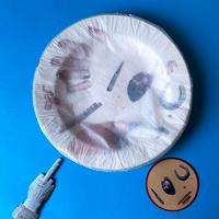 Piatto Toiletpaper Ltd Edition - Maurizio Cattelan