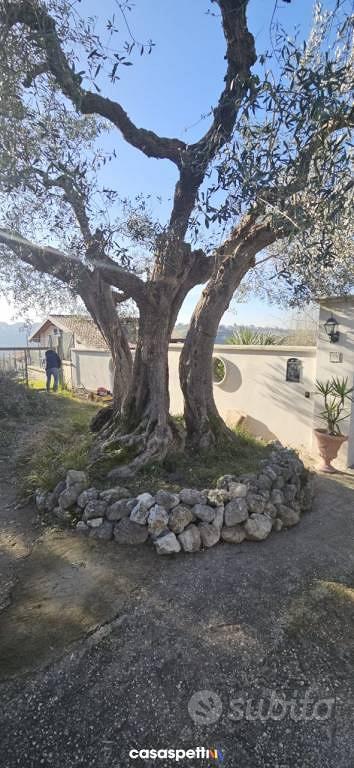 Terreno di 4500 m² a Monterotondo - Vista 4