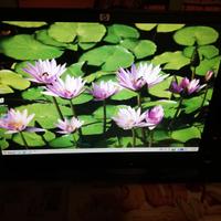 HP W17e - Monitor-PC 17" - LCD TFT - Fattore 16.8