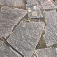 Porfido usato alto spessore qualità