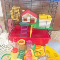Gabbia e vari accessori Criceto 