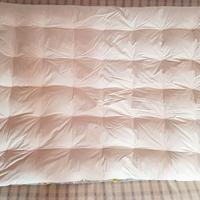 Trapunta piumino d’oca pesante qualità Svizzera