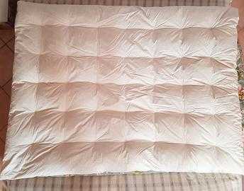 Trapunta piumino d’oca pesante qualità Svizzera