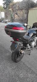 moto suzuki