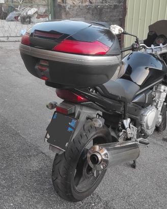 moto suzuki
