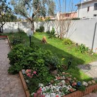 Casa vacanze Kokky's Home