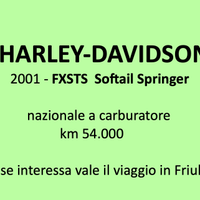 HARLEY-DAVIDSON      2001 - FXSTS Softail Springer