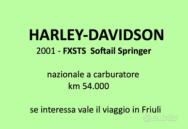 HARLEY-DAVIDSON      2001 - FXSTS Softail Springer