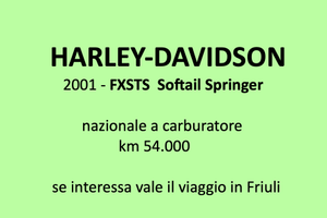 HARLEY-DAVIDSON      2001 - FXSTS Softail Springer