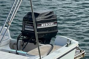 Motore Fuoribordo Mercury 50hp