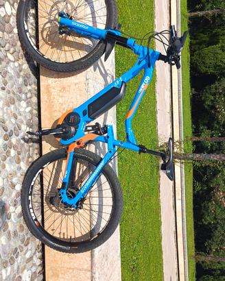 haibike 6.0 