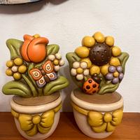 Piantine grandi thun