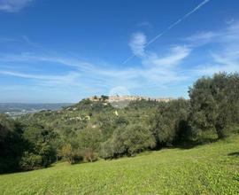 TER. RESIDENZIALE A MAGLIANO SABINA