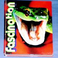 Fascination-snakes and lizards